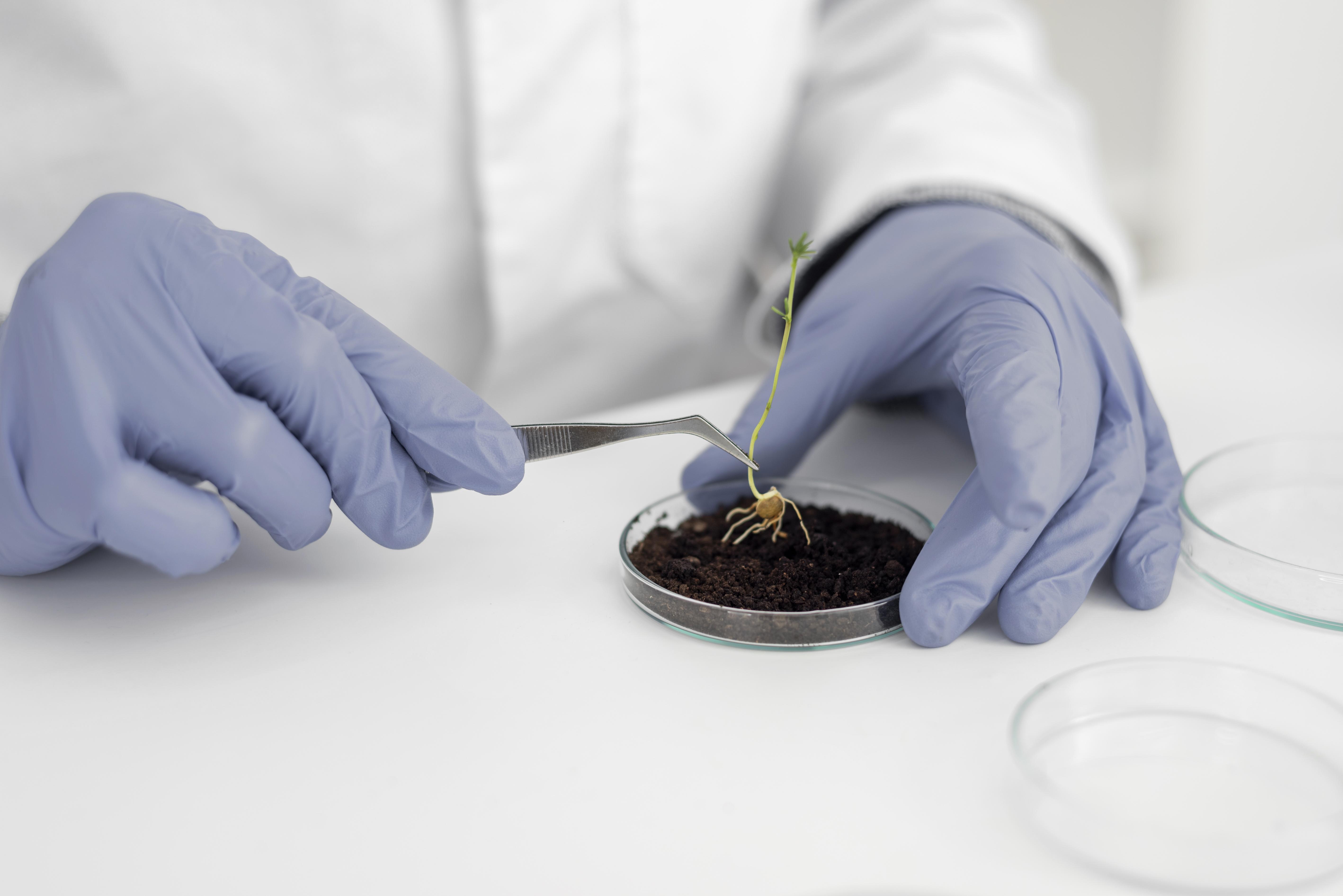Soil Health Research